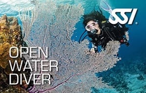 Get scuba certified and start your dive adventures today!