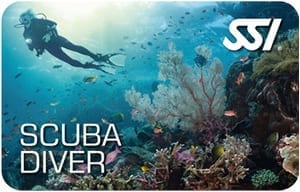 Get a taste of diving with the Scuba Diver program