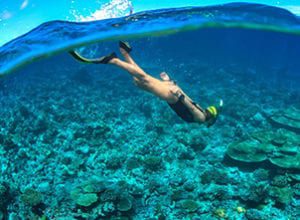 Taste the freedom of free diving