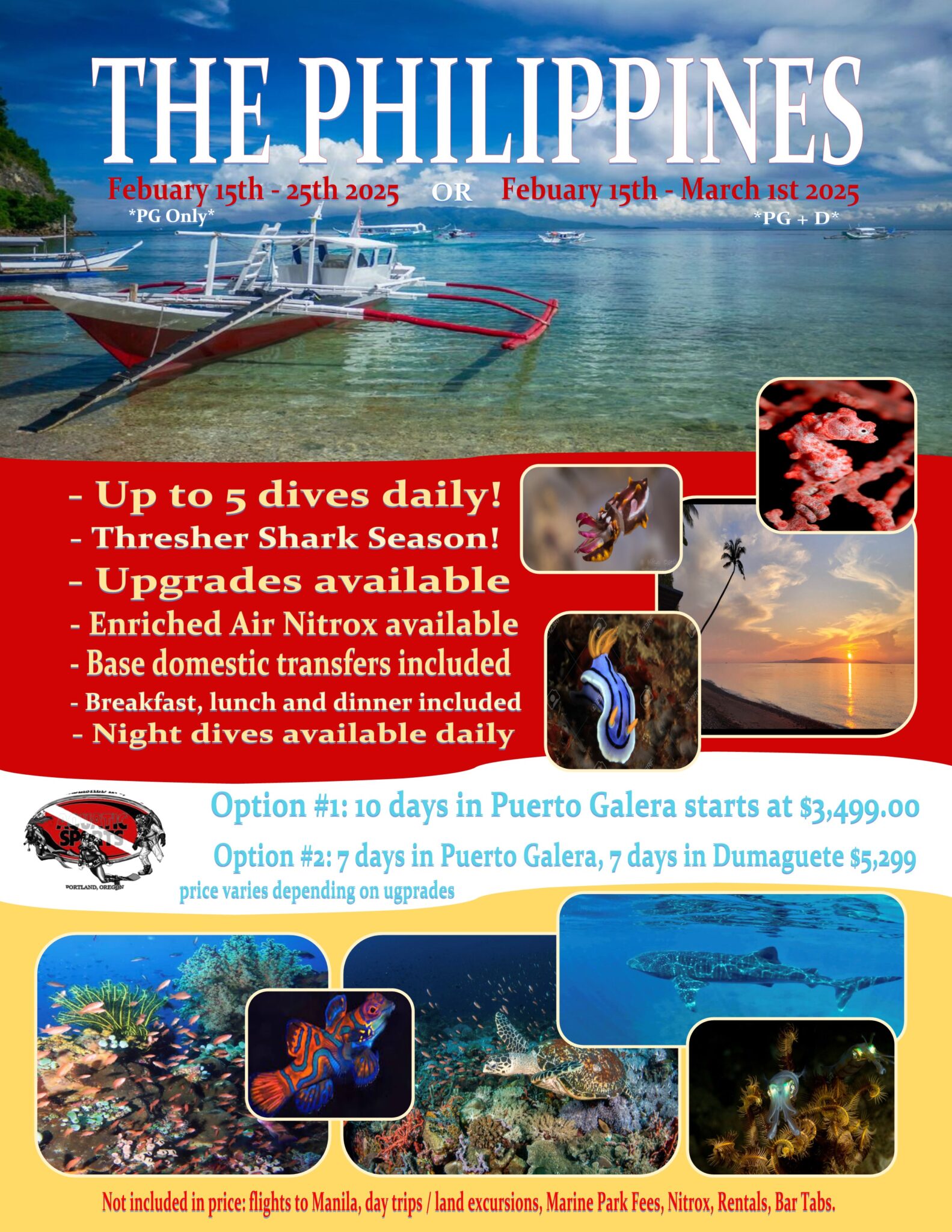 Dive with thresher sharks off Puerto Galera & Dumaguete the Philippines